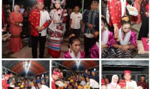 pj gubernur sulawesi tenggara